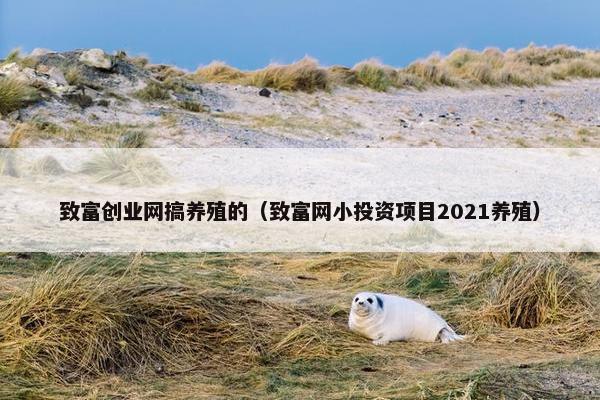 致富创业网搞养殖的（致富网小投资项目2021养殖）