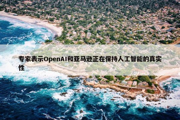 专家表示OpenAI和亚马逊正在保持人工智能的真实性