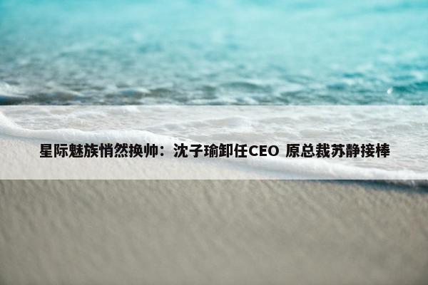 星际魅族悄然换帅：沈子瑜卸任CEO 原总裁苏静接棒