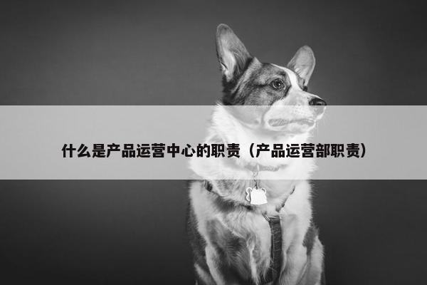 什么是产品运营中心的职责（产品运营部职责）