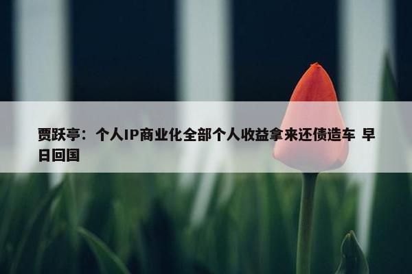 贾跃亭：个人IP商业化全部个人收益拿来还债造车 早日回国