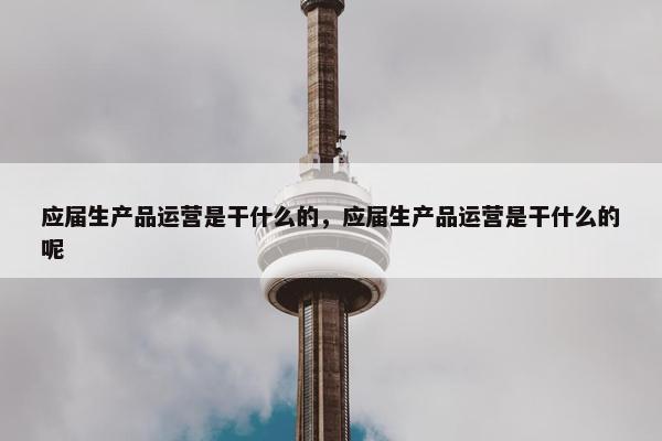 应届生产品运营是干什么的，应届生产品运营是干什么的呢