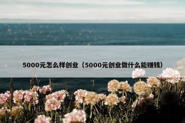 5000元怎么样创业（5000元创业做什么能赚钱）