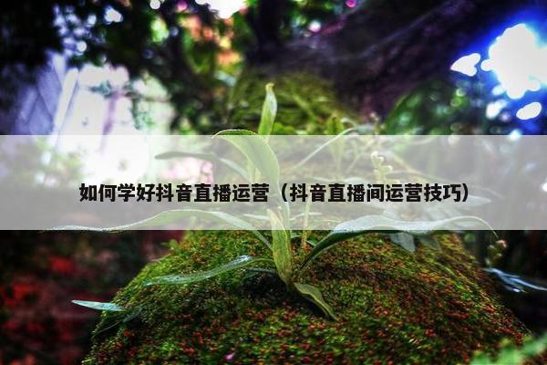 如何学好抖音直播运营（抖音直播间运营技巧）