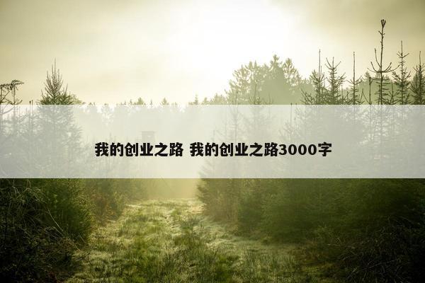 我的创业之路 我的创业之路3000字