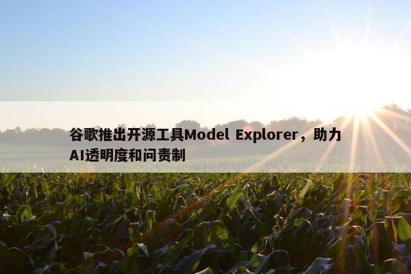 谷歌推出开源工具Model Explorer，助力AI透明度和问责制