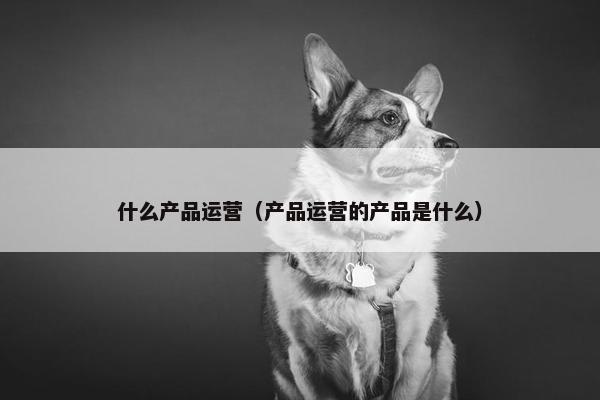 什么产品运营（产品运营的产品是什么）