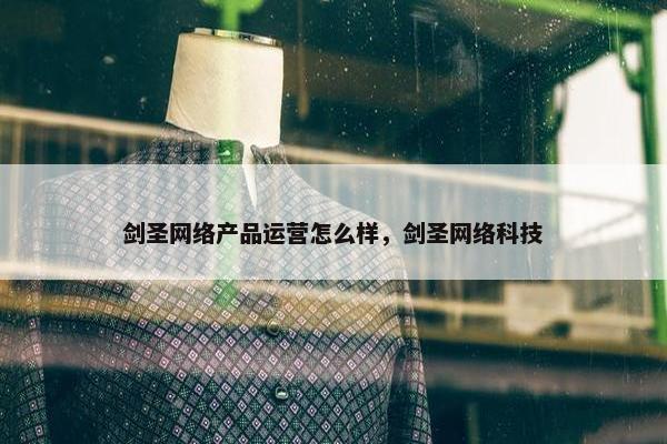 剑圣网络产品运营怎么样，剑圣网络科技