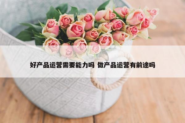 好产品运营需要能力吗 做产品运营有前途吗