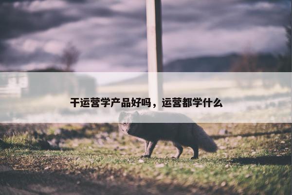 干运营学产品好吗，运营都学什么