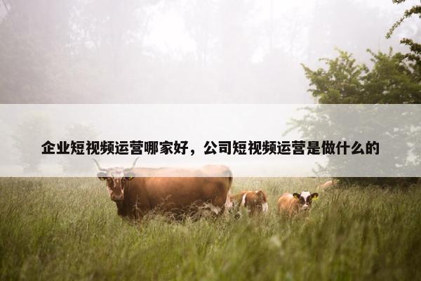 企业短视频运营哪家好，公司短视频运营是做什么的