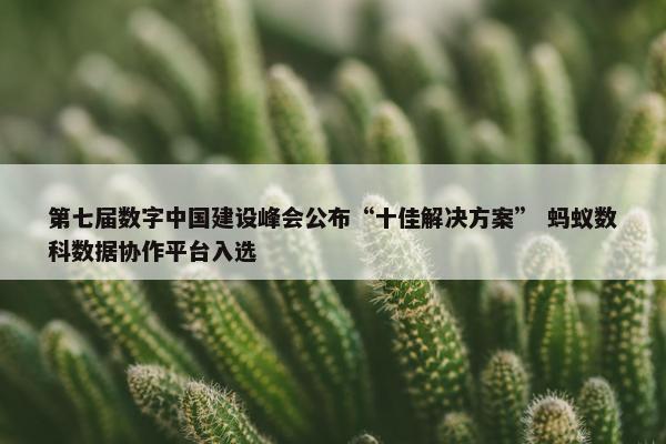 第七届数字中国建设峰会公布“十佳解决方案” 蚂蚁数科数据协作平台入选