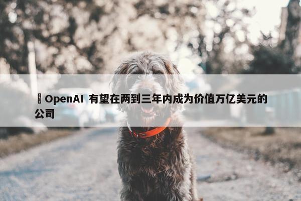 ​OpenAI 有望在两到三年内成为价值万亿美元的公司