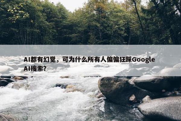 AI都有幻觉，可为什么所有人偏偏狂踩Google AI搜索？