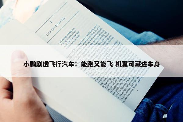 小鹏剧透飞行汽车：能跑又能飞 机翼可藏进车身