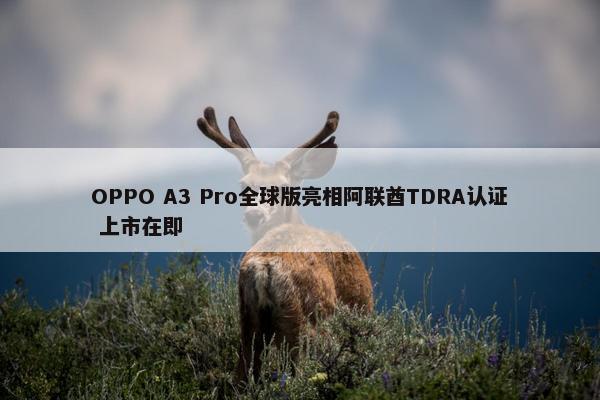 OPPO A3 Pro全球版亮相阿联酋TDRA认证 上市在即