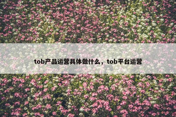 tob产品运营具体做什么，tob平台运营