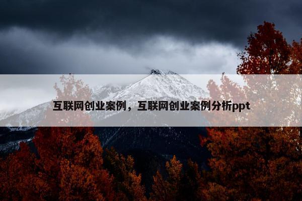 互联网创业案例，互联网创业案例分析ppt