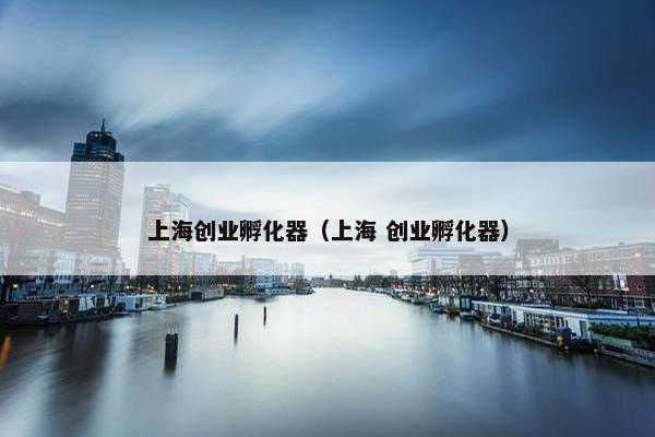 上海创业孵化器（上海 创业孵化器）