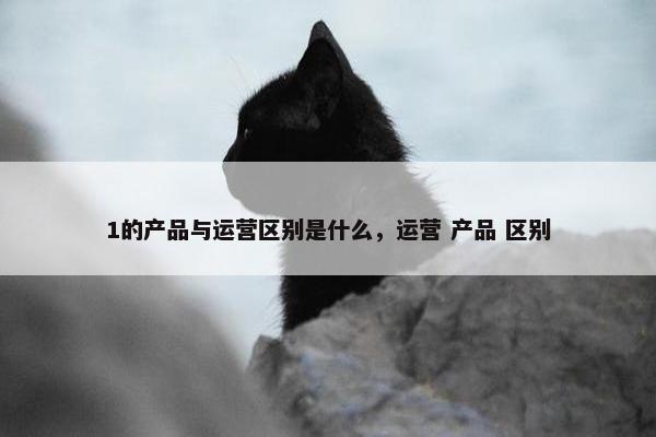 1的产品与运营区别是什么，运营 产品 区别