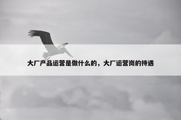 大厂产品运营是做什么的，大厂运营岗的待遇