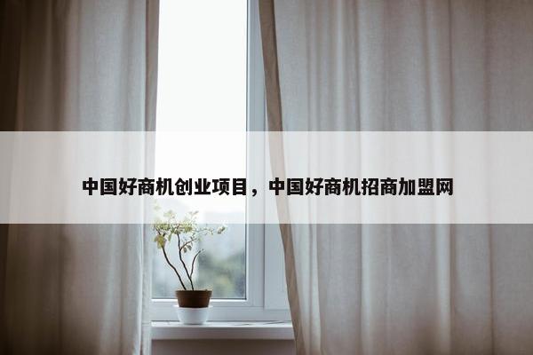 中国好商机创业项目，中国好商机招商加盟网