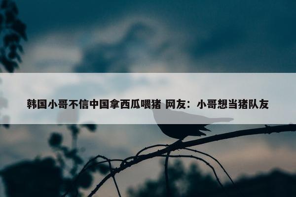 韩国小哥不信中国拿西瓜喂猪 网友：小哥想当猪队友