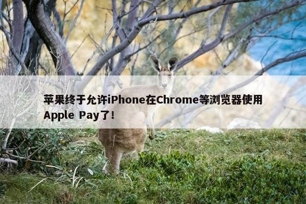 苹果终于允许iPhone在Chrome等浏览器使用Apple Pay了！