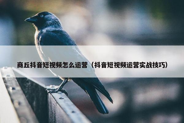 商丘抖音短视频怎么运营（抖音短视频运营实战技巧）