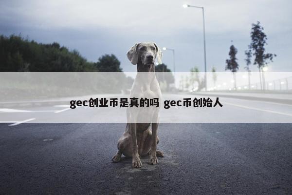 gec创业币是真的吗 gec币创始人