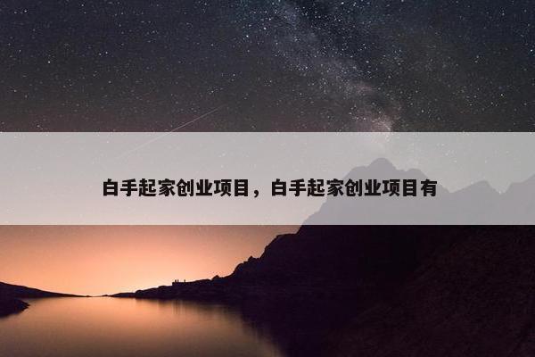 白手起家创业项目，白手起家创业项目有