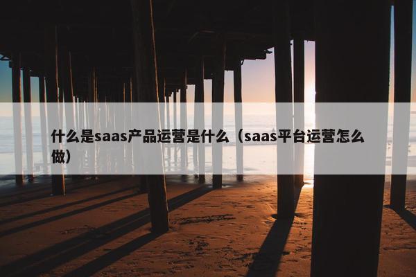 什么是saas产品运营是什么（saas平台运营怎么做）