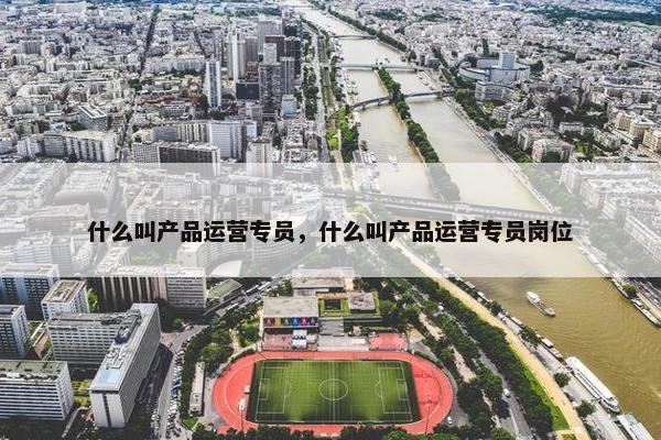 什么叫产品运营专员，什么叫产品运营专员岗位