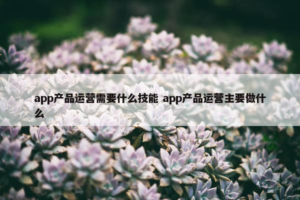 app产品运营需要什么技能 app产品运营主要做什么