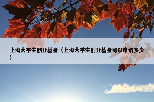 上海大学生创业基金（上海大学生创业基金可以申请多少）