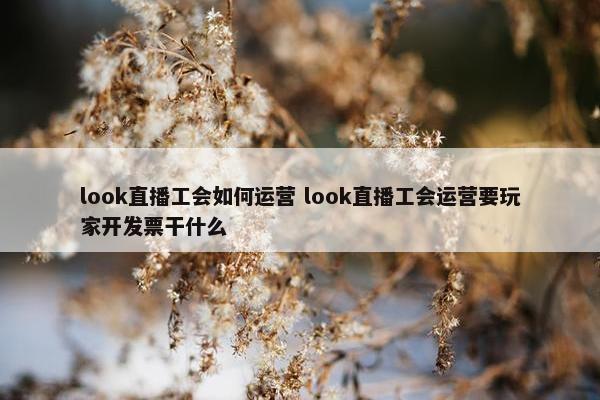 look直播工会如何运营 look直播工会运营要玩家开发票干什么