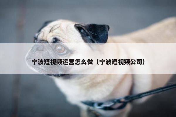 宁波短视频运营怎么做（宁波短视频公司）