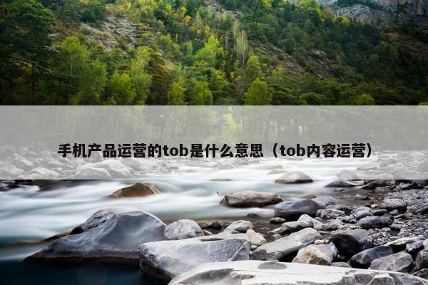 手机产品运营的tob是什么意思（tob内容运营）