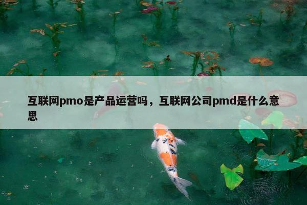 互联网pmo是产品运营吗，互联网公司pmd是什么意思