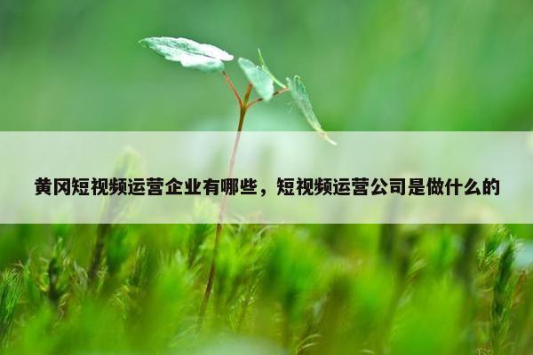 黄冈短视频运营企业有哪些，短视频运营公司是做什么的