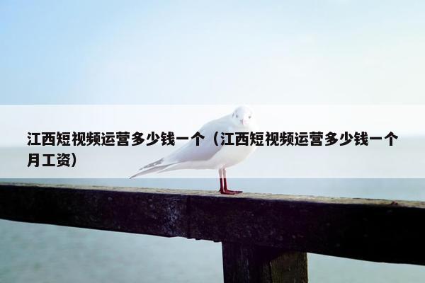 江西短视频运营多少钱一个（江西短视频运营多少钱一个月工资）