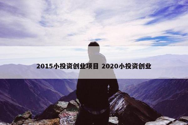 2015小投资创业项目 2020小投资创业