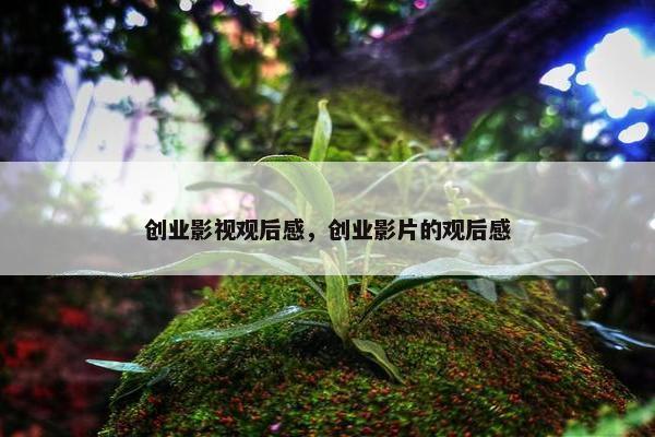 创业影视观后感，创业影片的观后感