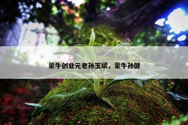 蒙牛创业元老孙玉斌，蒙牛孙健