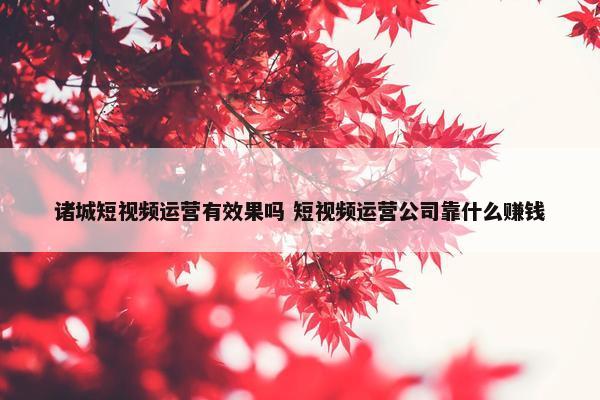 诸城短视频运营有效果吗 短视频运营公司靠什么赚钱