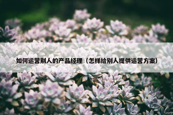 如何运营别人的产品经理（怎样给别人提供运营方案）