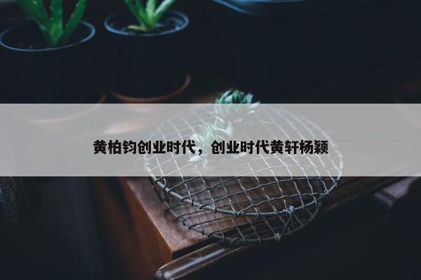 黄柏钧创业时代，创业时代黄轩杨颖