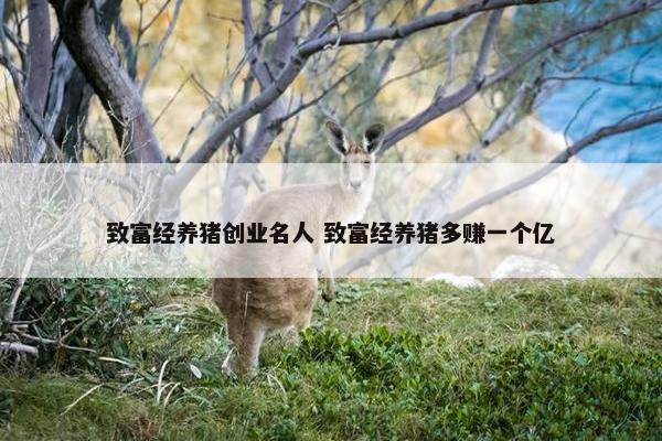 致富经养猪创业名人 致富经养猪多赚一个亿