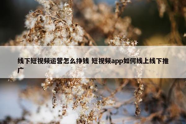 线下短视频运营怎么挣钱 短视频app如何线上线下推广