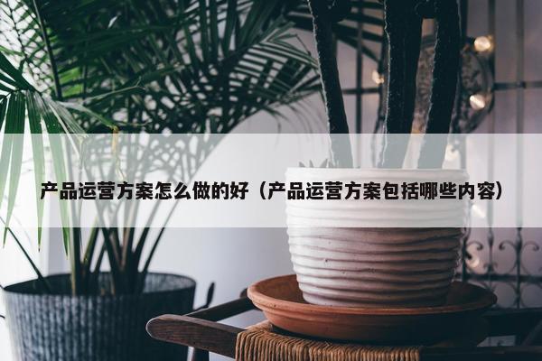 产品运营方案怎么做的好（产品运营方案包括哪些内容）